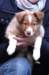 meetboy85weeksold_small.jpg