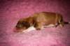 meetboyondayofbirth5_small.jpg