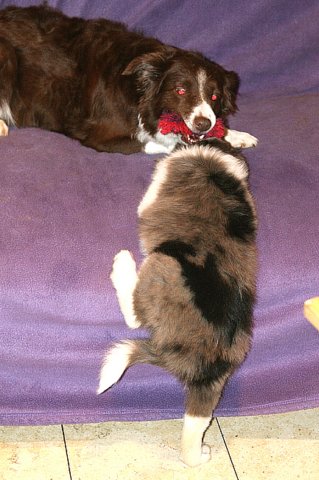 mytrixi55daysoldcrazy2.jpg