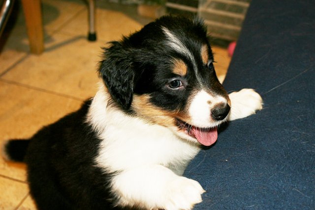 niftynemrod38daysold.jpg