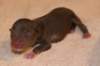 girl2ondayofbirth2_small.jpg