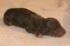 girl2ondayofbirth3_small.jpg