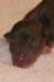 girl2ondayofbirth_small.jpg