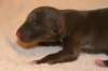 girl1ondayofbirth2_small.jpg