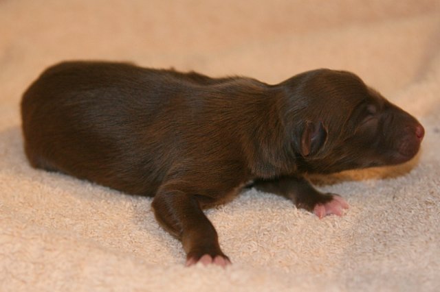 girl1ondayofbirth3.jpg