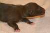 girl1ondayofbirth4_small.jpg